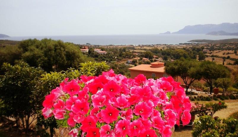 Su Paradisu Lägenhet Olbia Exteriör bild